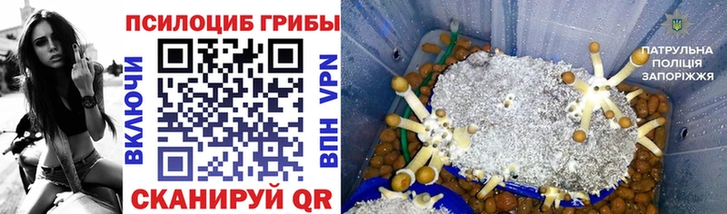 Галлюциногенные грибы ЛСД  кракен ССЫЛКА  Приволжск 